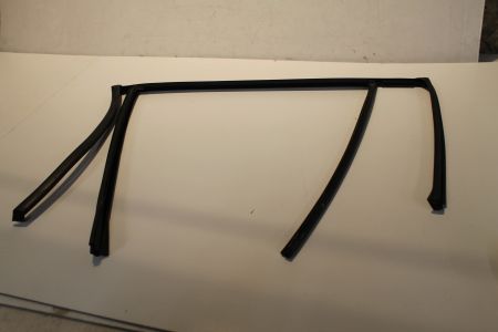 Fensterführung Tür hinten rechts