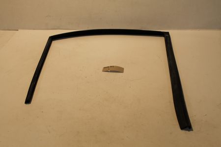 Fensterführung hinten links