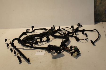 Kabelbaum Motor Motorkabelbaum Injektormodul