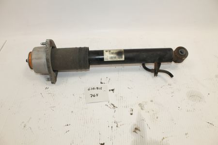 Stossdämpfer hinten rechts Federbein 