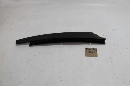 Blende Fensterrahmen B-Säule vorne links