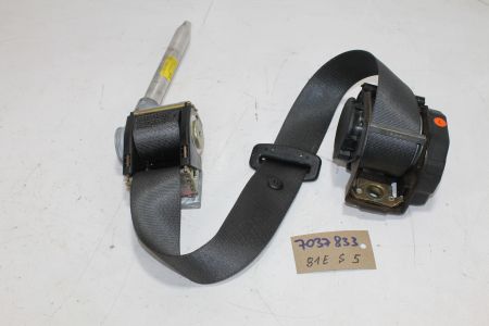 Sicherheitsgurt Gurt hinten links hl