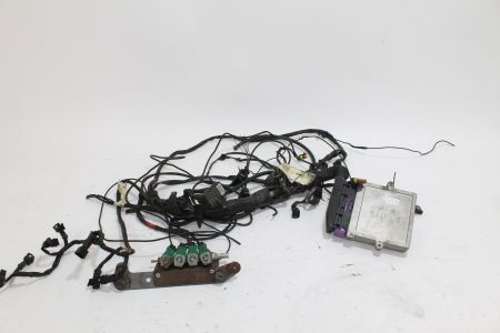 Steuergerät Autogas AEB injection control unit mit Kabelbaum