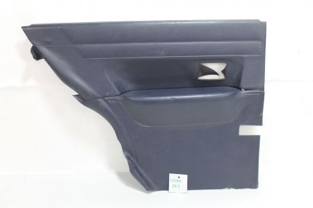 Türverkleidung hinten links blau mit Chromleiste