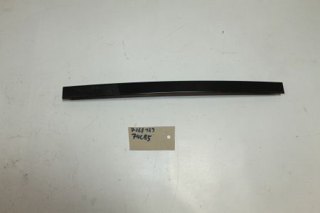 Blende Fensterführungssteg Links hinten h.l