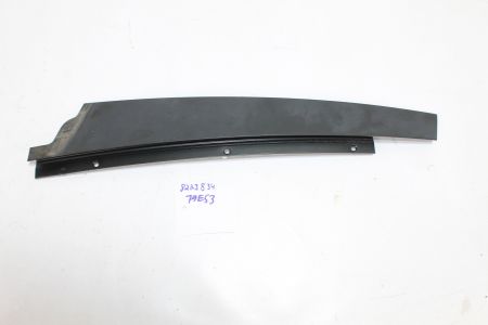 Blende Fensterrahmen B-Säule Tür vo. re.