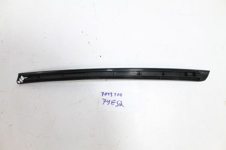 Blende Fensterrahmen Tür hinten rechts