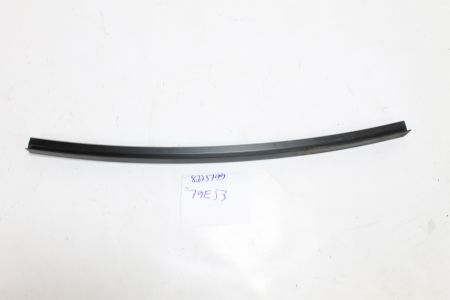 Blende Fensterführungssteg links Black Schwarz 