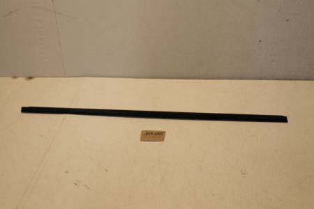 Blende Leiste Tür hinten links oben
