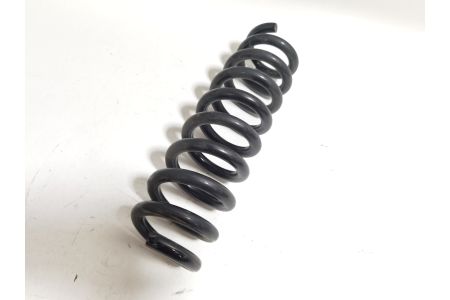 Schraubenfeder hinten 