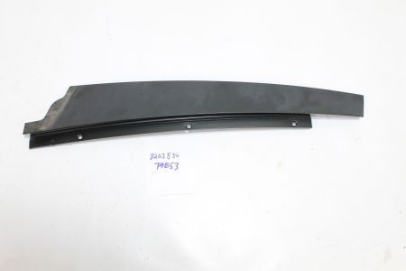 Blende Fensterrahmen B-Säule Tür vo. re.