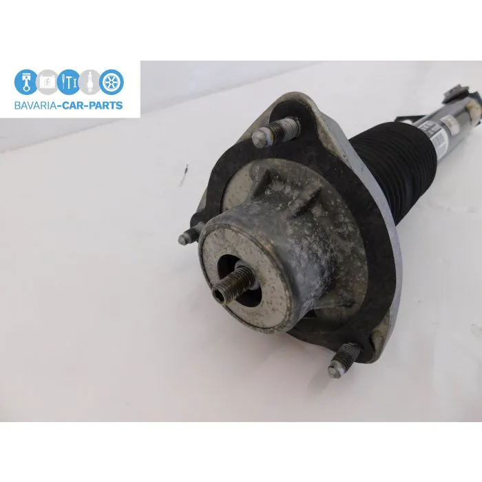 Stossdämpfer hinten rechts Stoßdämpfer